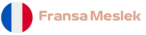 Fransa Meslek